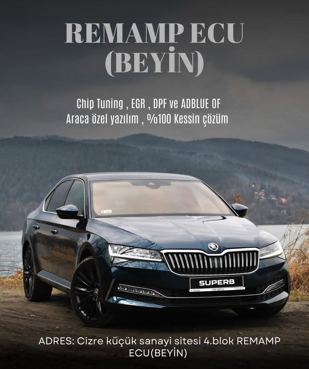 Remamp Ecu Beyin